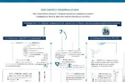全面解析，申请基金从业资格的详细流程