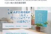 中央养老服务补贴申请指南，政策解读、条件流程与权益保障