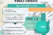 金华社保租房补贴申请全攻略，条件、流程、材料及注意事项