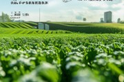 农机补贴申请书，助力农业现代化，申请流程与注意事项全解析