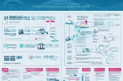 河南本地补贴申请全攻略，从政策解读到实操步骤，一文读懂