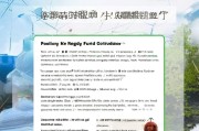 大连新能源补贴申请网站全攻略，政策解读、操作指南与常见问题解答