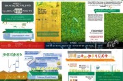 农业种植补贴申请条件全面解析，政策要点、资格门槛与实操指南