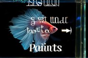 斗鱼Sign up How to Get Your Points