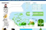 深圳旅行补贴申请全攻略，从政策解读到实操指南，助你轻松申领