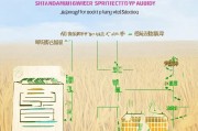 山东小麦保护补贴申请指南，政策解读、流程详解与注意事项