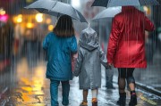 雨天出行保险，保障你的出行安全！