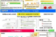 新丰人才补贴申请全攻略，政策解读、流程指引与注意事项