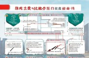 深圳少儿医保补贴申请指南，2024最新政策、条件、流程全解析