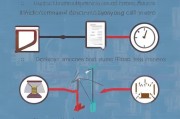 公司申请破产流程详解，从决策到执行的每一步