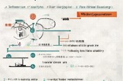 武汉贷款利息补贴申请指南，政策解读与实操全攻略
