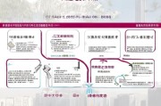 港中大申请流程全解析，从准备到录取的每一步