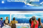 exploring the Blue航线，How to Book Your Flight