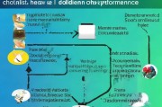 化工原料销售如何精准获客？这5种方法让你业绩翻倍！