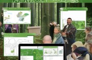 种植林业补贴申请全攻略，从政策解读到实操流程，助您轻松申领