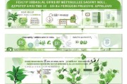 种植油茶补贴申请全指南，从政策解读到实操步骤