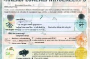 广东省失业金领取指南，你必须知道的流程与注意事项
