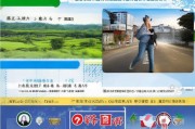 石嘴山市返乡创业补贴申请指南，政策红利助你圆梦家乡