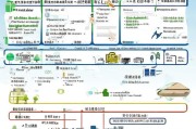 徐州应届毕业生租房补贴申请指南，政策解读、流程与注意事项