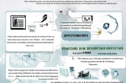 机关单位失业补贴申请指南，条件、流程与注意事项