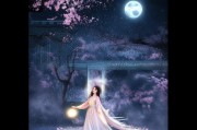 共创之夜，公孙离如何领取