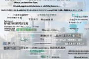 深圳市残疾人补贴申请全攻略，政策解读、申请流程与注意事项