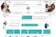 灵活就业个人补贴申请全攻略，条件、流程与注意事项