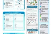 失智补贴申请全攻略，材料清单、流程与注意事项