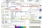 菏泽创业孵化补贴申请全攻略，政策解读、流程详解与实用指南