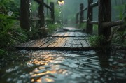雨水节气，承载着太多回忆，防汛证书领取补贴，回忆与回忆