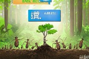 蚂蚁森林领取真树，开启 Your种植之旅！