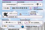 禹城惠民补贴申请全攻略，流程、条件、渠道一文详解
