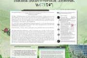 渭南个人光伏补贴申请全攻略，政策解读、流程指南与注意事项