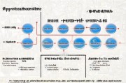 北京单位社保补贴申请指南，政策解读、条件流程与实操要点