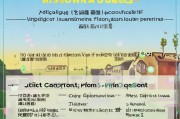 村里怎样申请补贴全流程指南，从政策解读到资金到账，一文读懂关键步骤