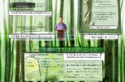 毛竹虫害补贴申请指南，政策解读、流程详解与实用建议