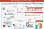 陪读租赁补贴申请指南，政策解读、流程与注意事项