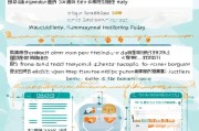 湖南实习生补贴申请全攻略，条件、流程、注意事项详解