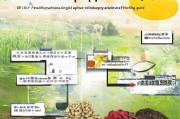宁夏中草药补贴申请指南，政策红利、申报流程与产业发展机遇
