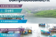 江西瑞安渔船补贴申请指南，政策解读、流程详解与注意事项