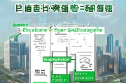 深圳电车牌申请全攻略，从准备到成功