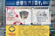 郑州年检标志的重要性及领取流程