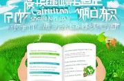 加油环保补贴申请全指南，条件、流程与注意事项